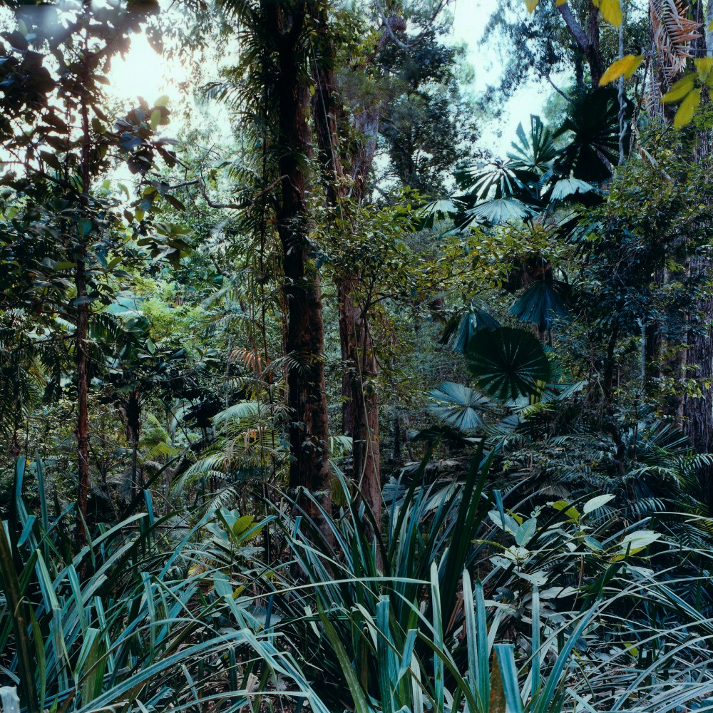 LARAAJI, LAMIN FOFANA, MEGABASSE, SILVIA TAROZZI - Latency alla Villa Medici III [LTNC032] © Latency